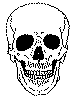 Skull.gif (3870 bytes)